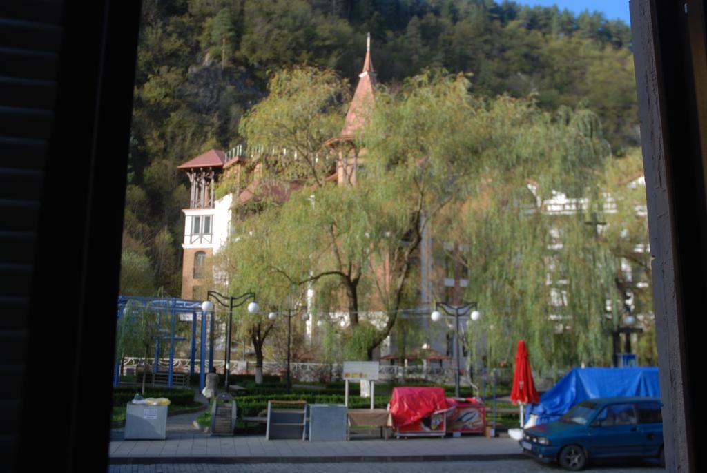 Borjomi Central Park Apartment Экстерьер фото