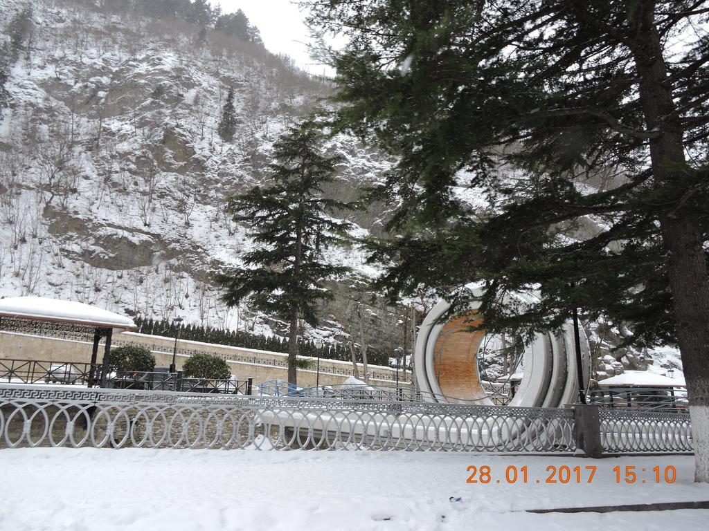 Borjomi Central Park Apartment Экстерьер фото